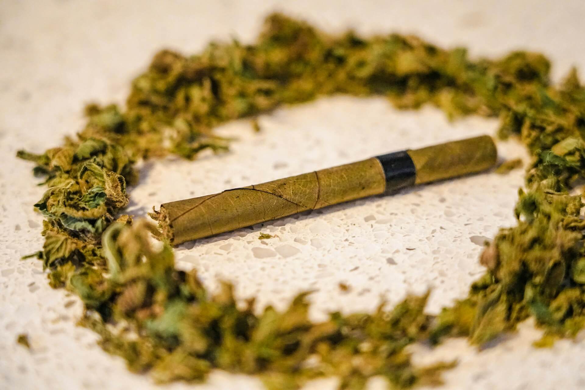 Image of Blunt vs. pre-roll: Which is the best fit for your expectations?